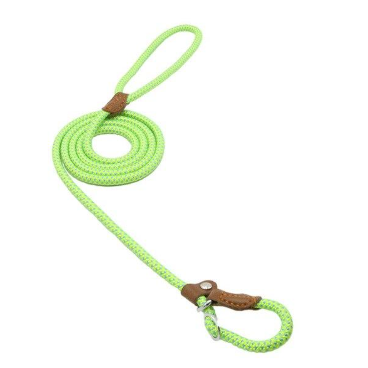 The Snug Hound Nylon Pup Set