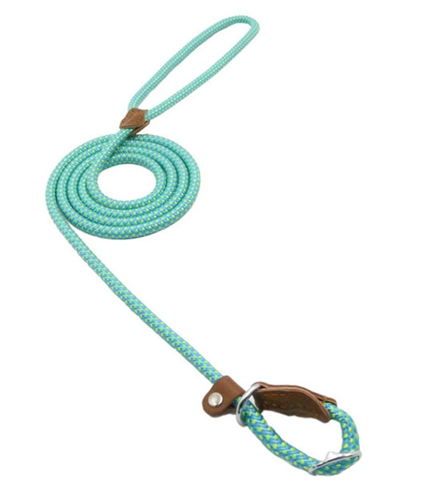 The Snug Hound Nylon Pup Set