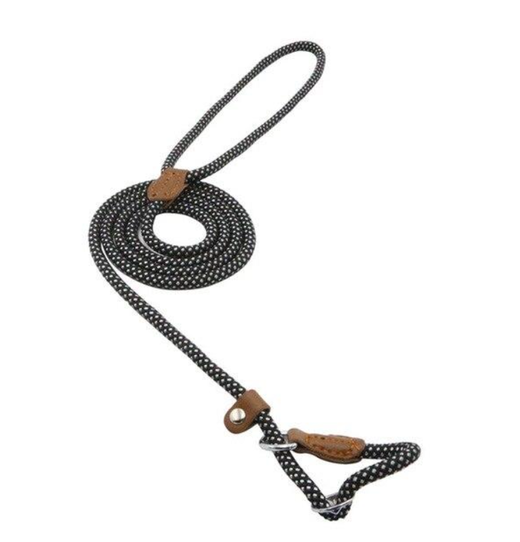The Snug Hound Nylon Pup Set