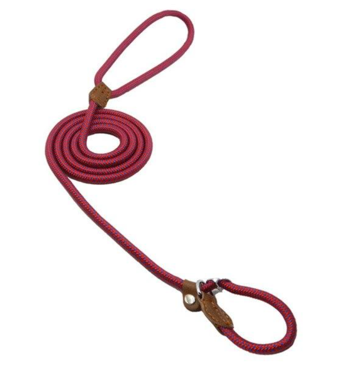 The Snug Hound Nylon Pup Set