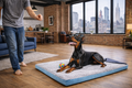 ROKHY Dog Beds Large Sized Dog 36 Inch Comfort Dog Crate Bed pad Washable Anti-Slip & Ultra Soft Pet Sleeping Mat for Large DogsUp to 70 lbs 36" x 23"Light Blue