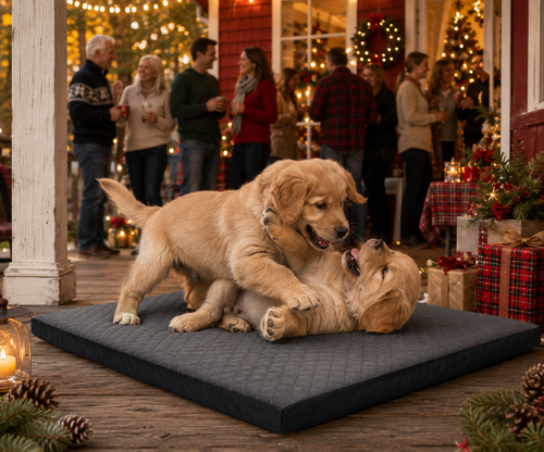 Aulase Indestructible Dog Beds Chew Proof Dog Crate Pad for Aggressive Chewer Washable Cover Quilted Dog Mat for CrateNon-Slip Bottom Kennel Pad Durable Dog Beds for Puppy (Gray 35" x 23")
