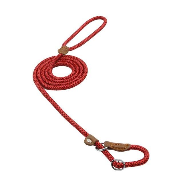 The Snug Hound Nylon Pup Set