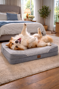 The Snug Hound Orthopedic Dog Beds for Extra Large Dogs Waterproof Extra Large Dog Bed with 4 Sides Dog Couch Bed with Removable Washable Cover (Extra Large)