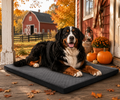 The Snug Hound Dog Beds Chew Proof Dog Crate Pad for Aggressive Chewer Washable Cover Quilted Dog Mat for CrateNon-Slip Bottom Kennel Pad Durable Dog Beds for Puppy (Gray 35" x 23")