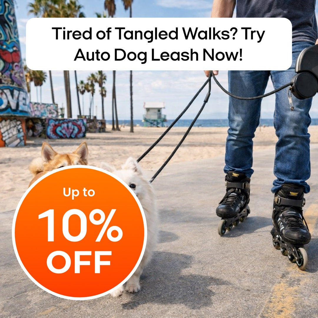 Auto Double Dog Leash