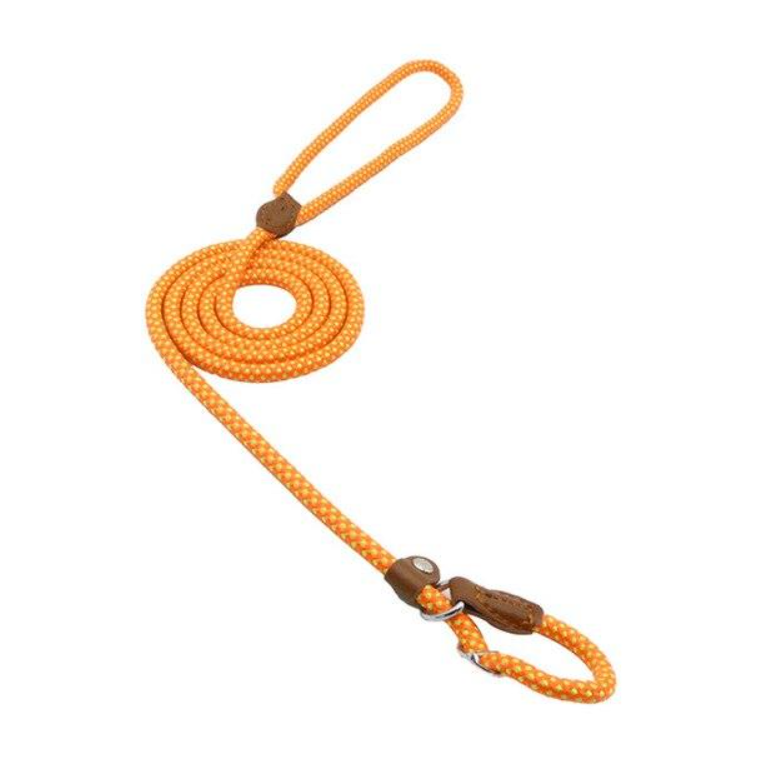 The Snug Hound Nylon Pup Set